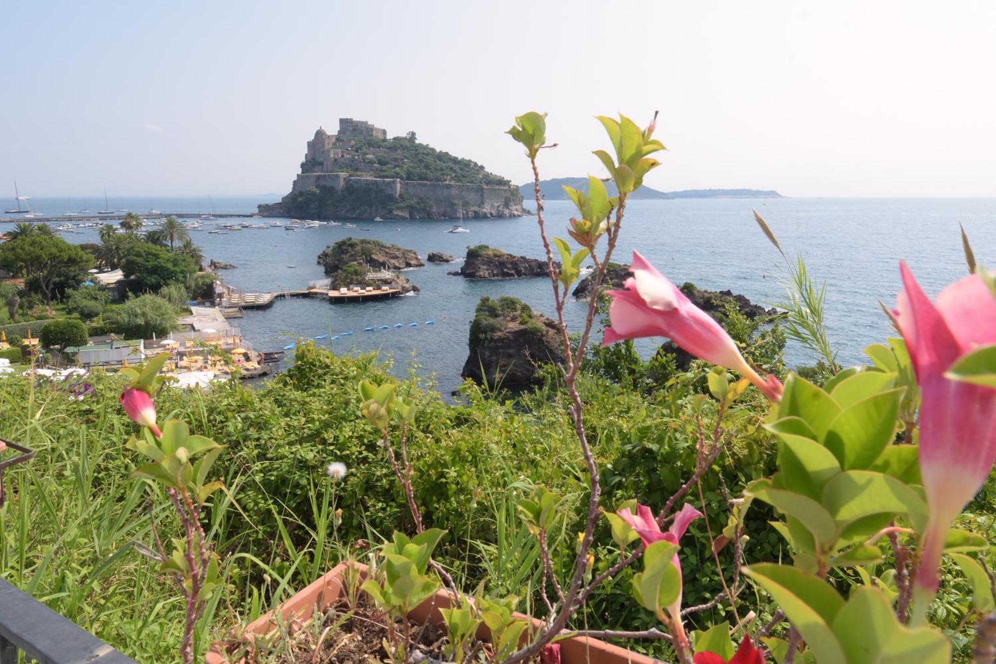 Hotel La Ninfea Ischia Zewnętrze zdjęcie